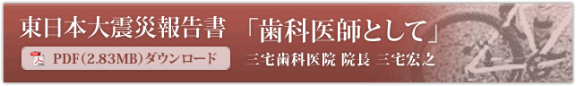 東日本大震災報告書